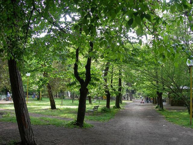 Villa Grazia Viareggio Eksteriør billede